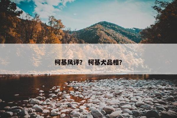 柯基风评？ 柯基犬品相？