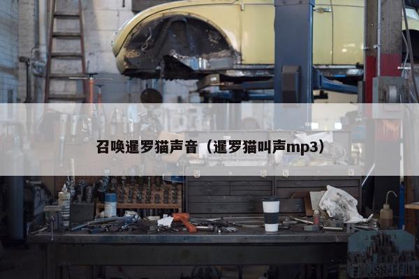 召唤暹罗猫声音（暹罗猫叫声mp3）