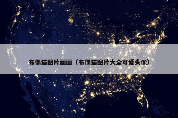 布偶猫图片画画（布偶猫图片大全可爱头像）