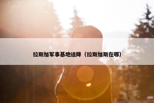 拉斯加军事基地迫降（拉斯加斯在哪）