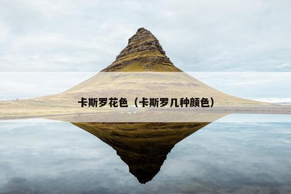 卡斯罗花色（卡斯罗几种颜色）
