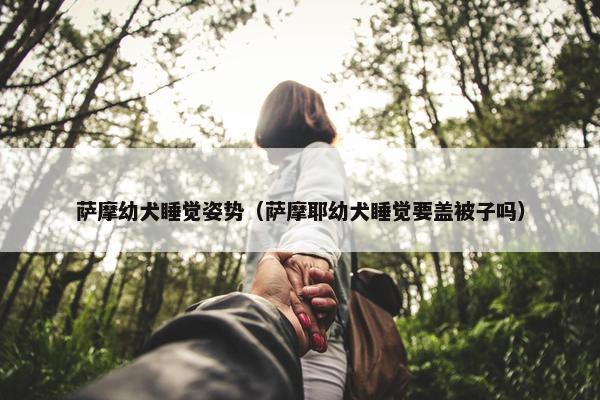 萨摩幼犬睡觉姿势（萨摩耶幼犬睡觉要盖被子吗）