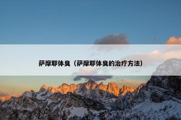萨摩耶体臭（萨摩耶体臭的治疗方法）