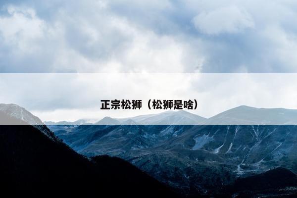 正宗松狮（松狮是啥）