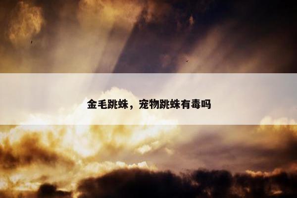金毛跳蛛，宠物跳蛛有毒吗