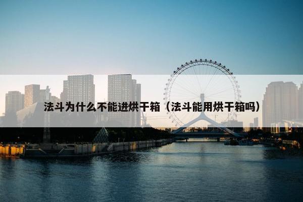 法斗为什么不能进烘干箱（法斗能用烘干箱吗）