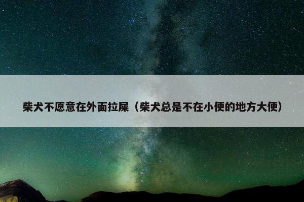 柴犬不愿意在外面拉屎（柴犬总是不在小便的地方大便）