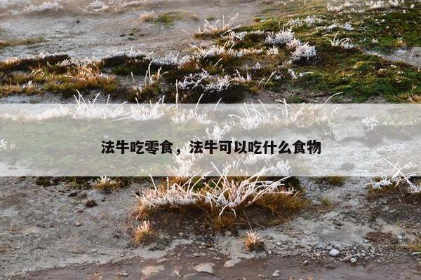 法牛吃零食，法牛可以吃什么食物