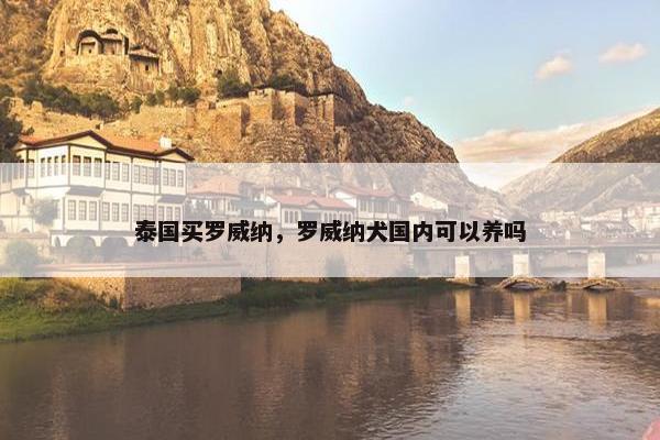泰国买罗威纳，罗威纳犬国内可以养吗