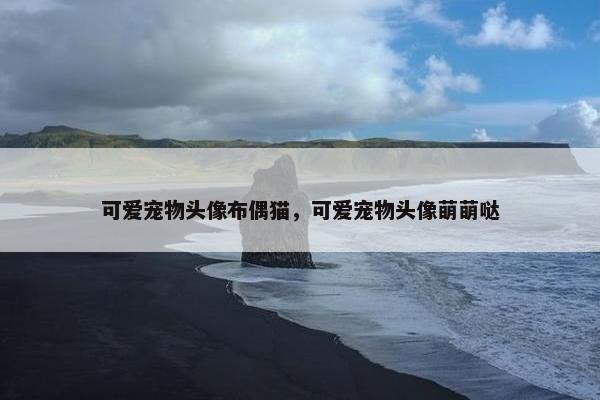 可爱宠物头像布偶猫，可爱宠物头像萌萌哒