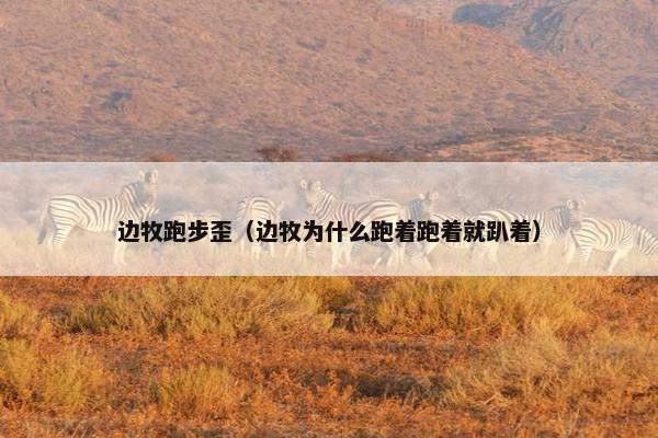 边牧跑步歪（边牧为什么跑着跑着就趴着）