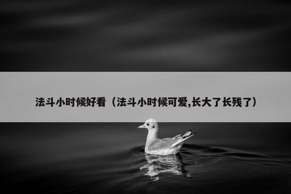 法斗小时候好看（法斗小时候可爱,长大了长残了）