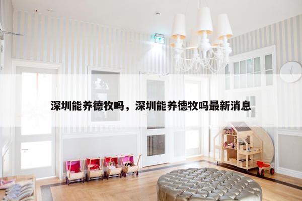 深圳能养德牧吗，深圳能养德牧吗最新消息