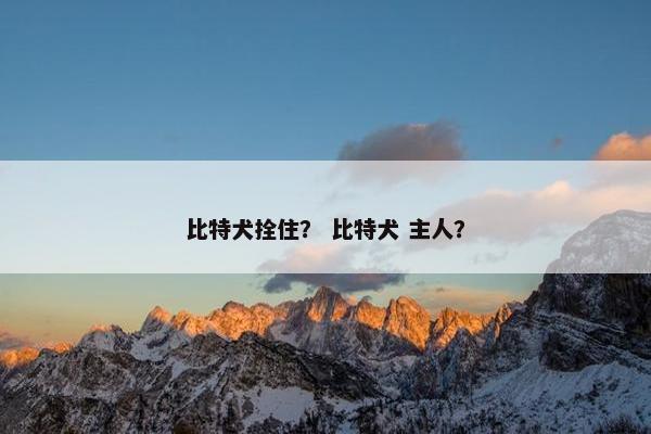比特犬拴住？ 比特犬 主人？