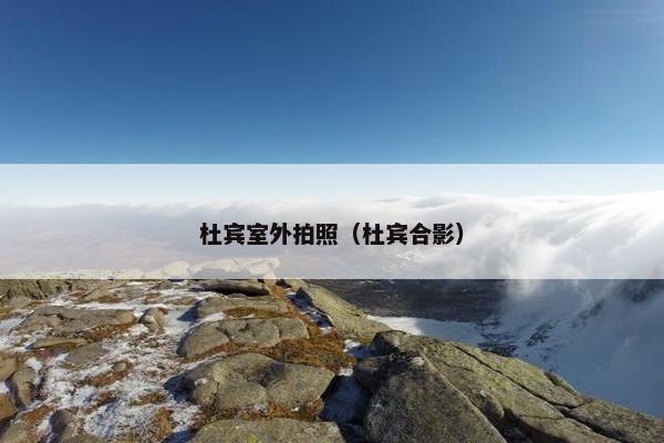 杜宾室外拍照（杜宾合影）