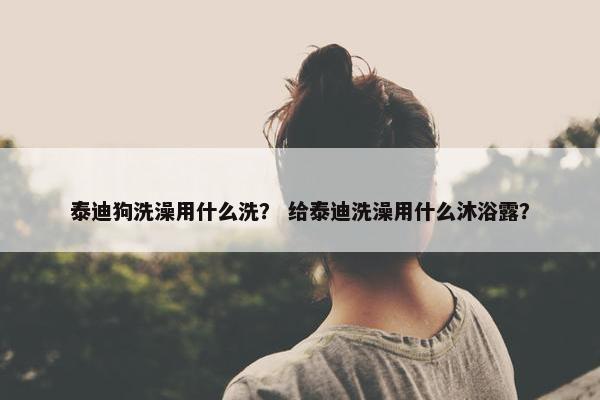泰迪狗洗澡用什么洗？ 给泰迪洗澡用什么沐浴露？