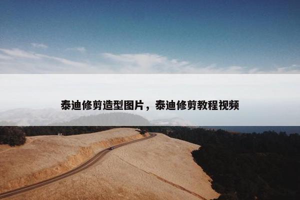 泰迪修剪造型图片，泰迪修剪教程视频