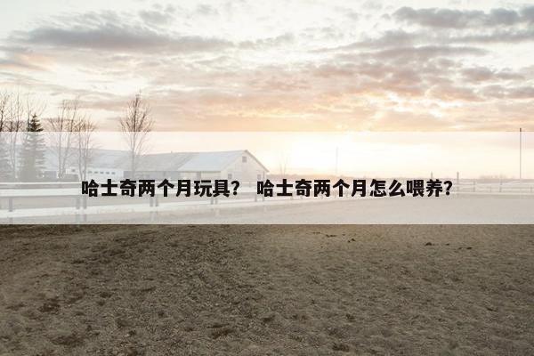 哈士奇两个月玩具？ 哈士奇两个月怎么喂养？