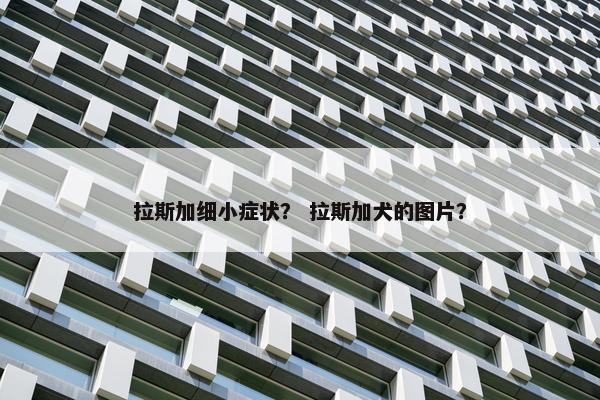拉斯加细小症状？ 拉斯加犬的图片？