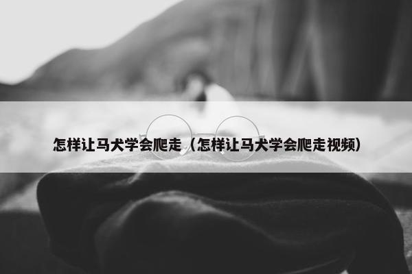 怎样让马犬学会爬走（怎样让马犬学会爬走视频）