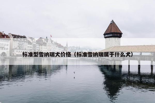 标准型雪纳瑞犬价格（标准雪纳瑞属于什么犬）