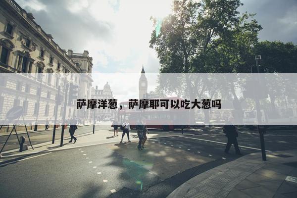 萨摩洋葱，萨摩耶可以吃大葱吗