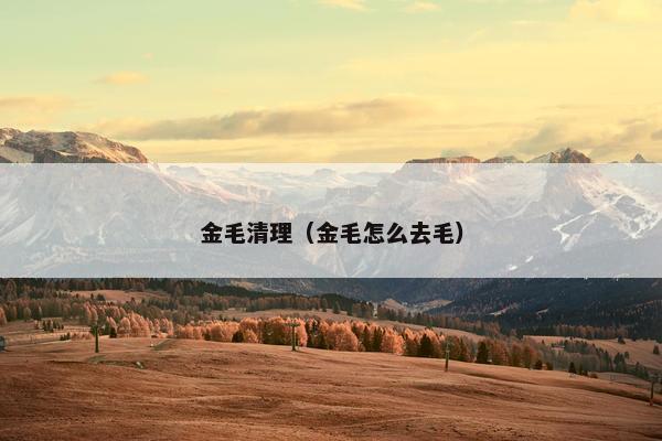 金毛清理（金毛怎么去毛）