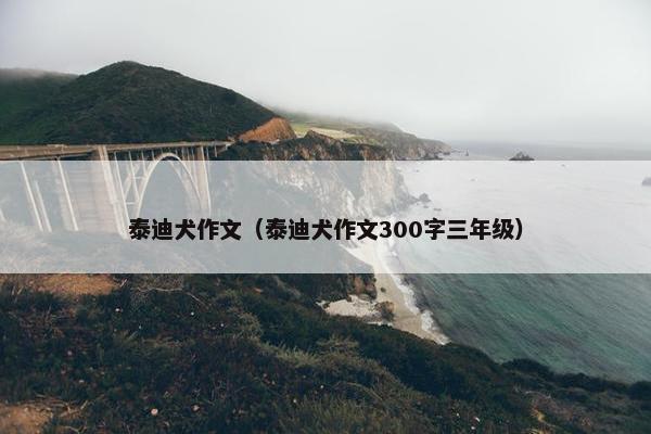 泰迪犬作文（泰迪犬作文300字三年级）