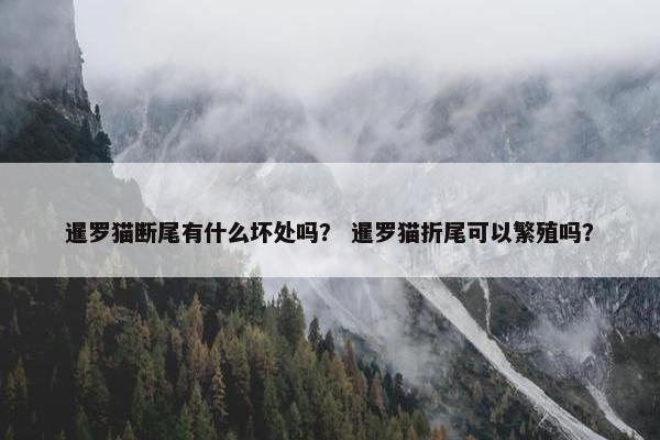 暹罗猫断尾有什么坏处吗？ 暹罗猫折尾可以繁殖吗？