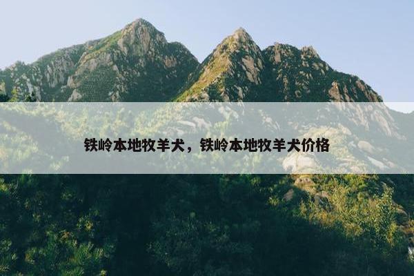 铁岭本地牧羊犬，铁岭本地牧羊犬价格