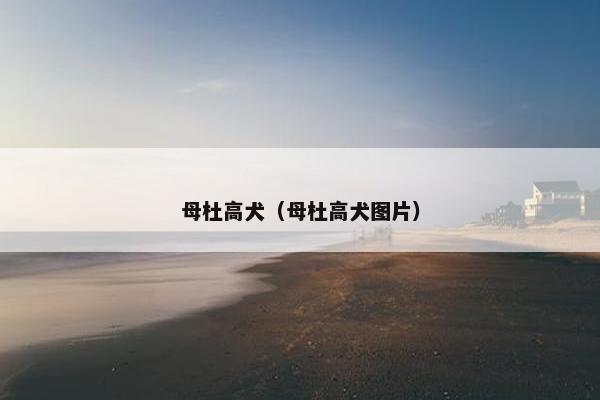 母杜高犬（母杜高犬图片）