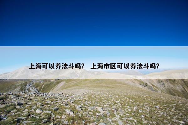 上海可以养法斗吗？ 上海市区可以养法斗吗？