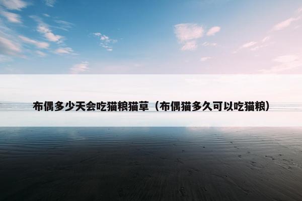 布偶多少天会吃猫粮猫草（布偶猫多久可以吃猫粮）