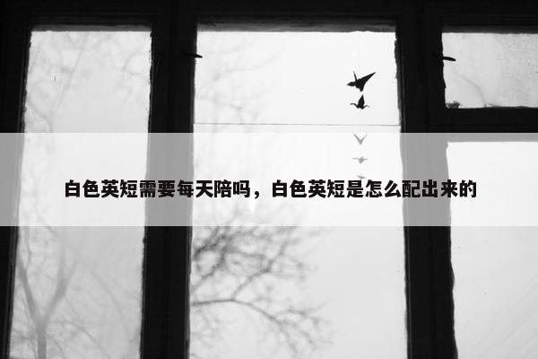 白色英短需要每天陪吗，白色英短是怎么配出来的