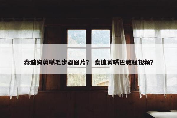 泰迪狗剪嘴毛步骤图片？ 泰迪剪嘴巴教程视频？