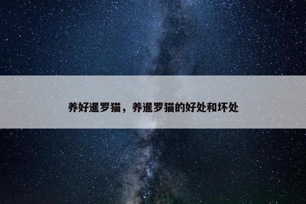 养好暹罗猫，养暹罗猫的好处和坏处