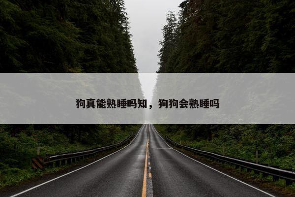 狗真能熟睡吗知，狗狗会熟睡吗