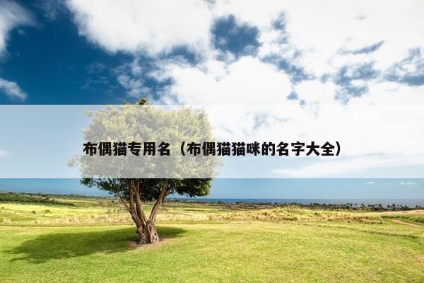 布偶猫专用名（布偶猫猫咪的名字大全）