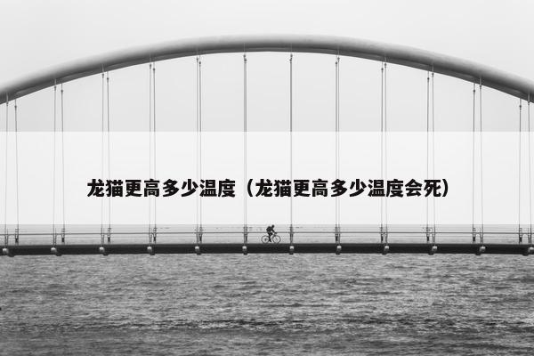 龙猫更高多少温度（龙猫更高多少温度会死）