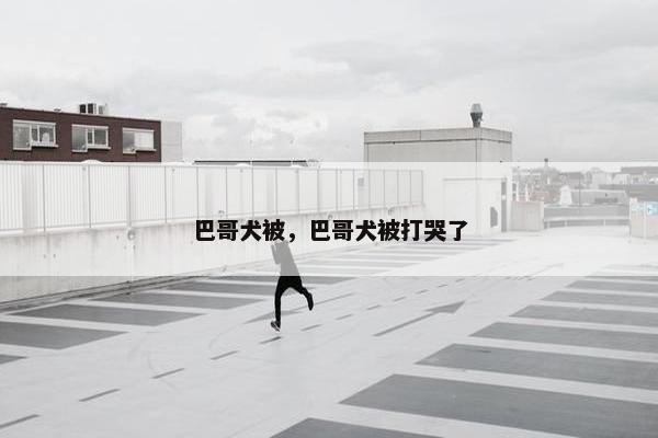 巴哥犬被，巴哥犬被打哭了
