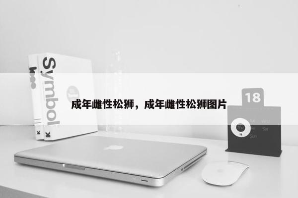 成年雌性松狮，成年雌性松狮图片