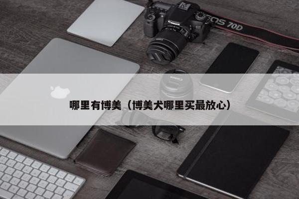 哪里有博美（博美犬哪里买最放心）