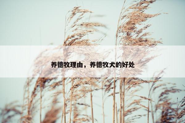 养德牧理由，养德牧犬的好处