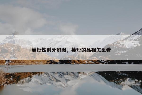 英短性别分辨图，英短的品相怎么看