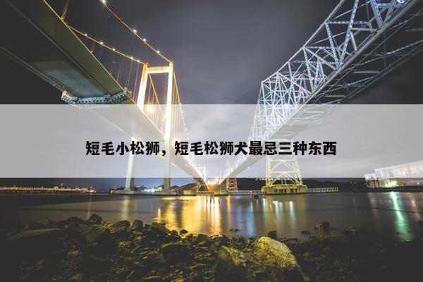 短毛小松狮，短毛松狮犬最忌三种东西