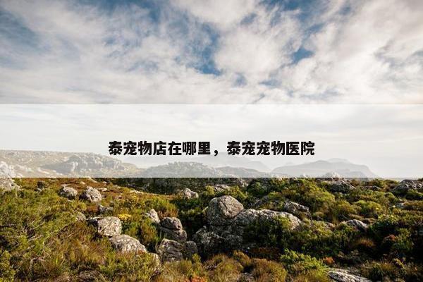 泰宠物店在哪里，泰宠宠物医院