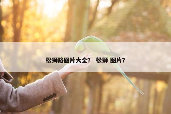 松狮路图片大全？ 松狮 图片？