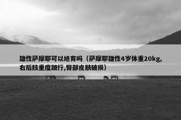 雄性萨摩耶可以绝育吗（萨摩耶雄性4岁体重20kg,右后肢重度跛行,臀部皮肤破损）
