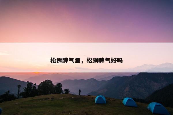 松狮脾气犟，松狮脾气好吗
