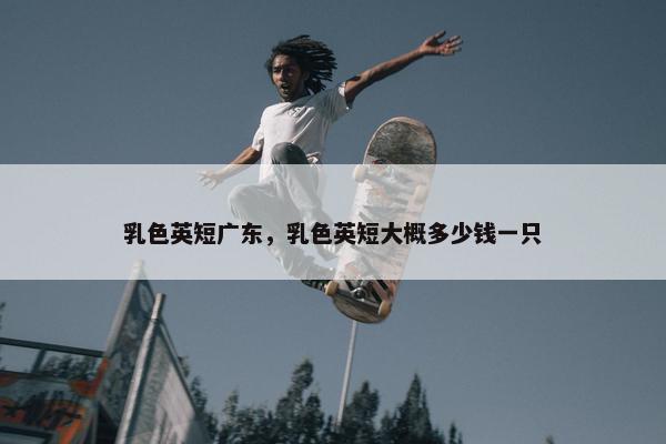 乳色英短广东，乳色英短大概多少钱一只